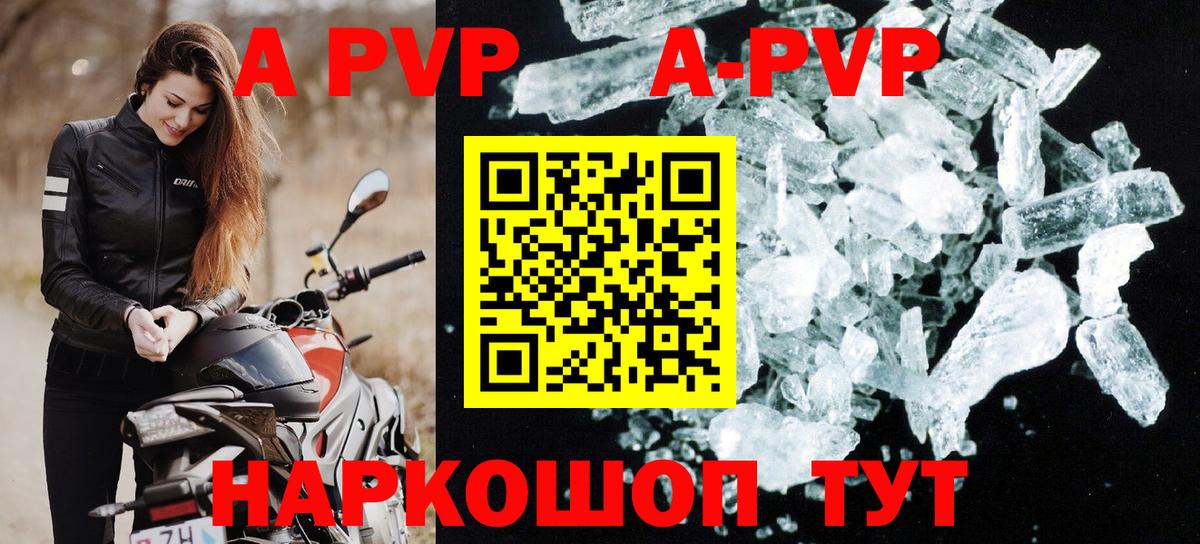 Alfa_PVP СК КРИС Аргун