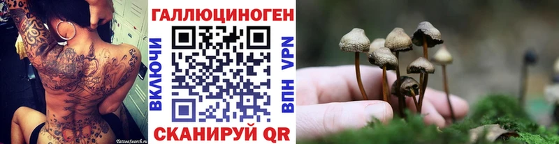 Псилоцибиновые грибы ЛСД  Аргун 