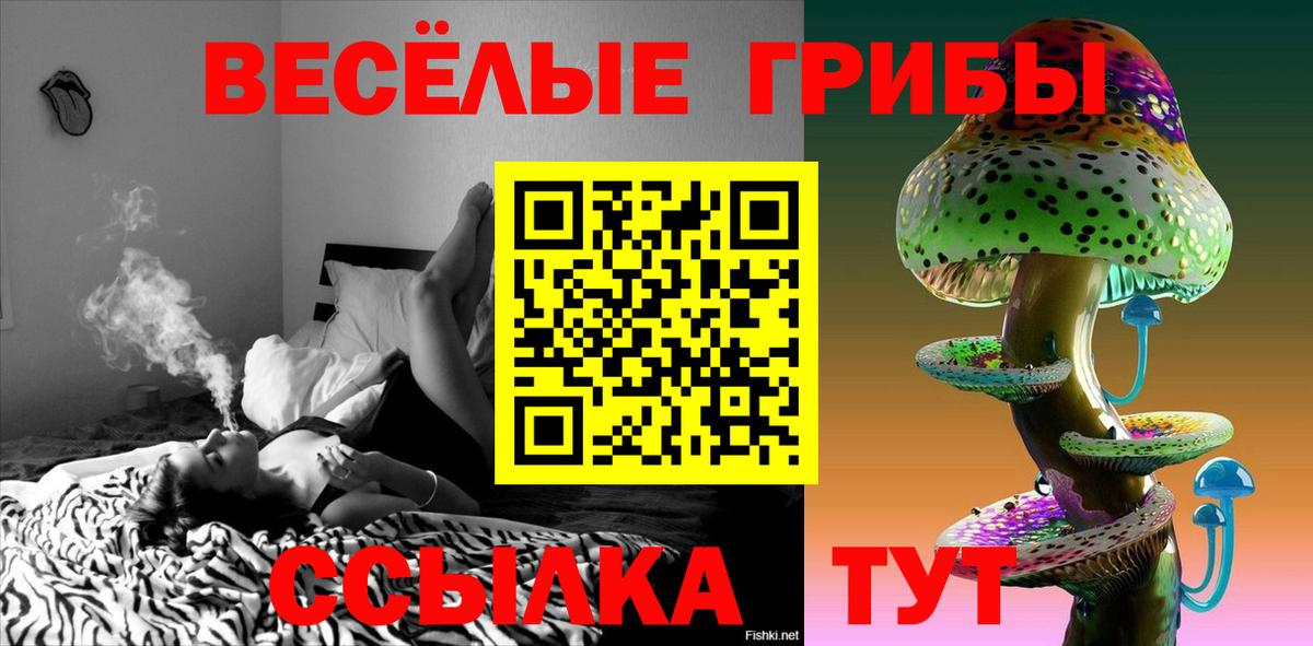 Галлюциногенные грибы GOLDEN TEACHER Аргун